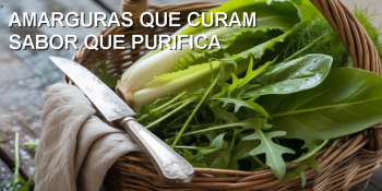 O amargo que desperta o fígado e acalma o intestino